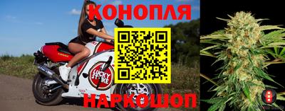 индика Новокубанск