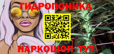 индика Новокубанск