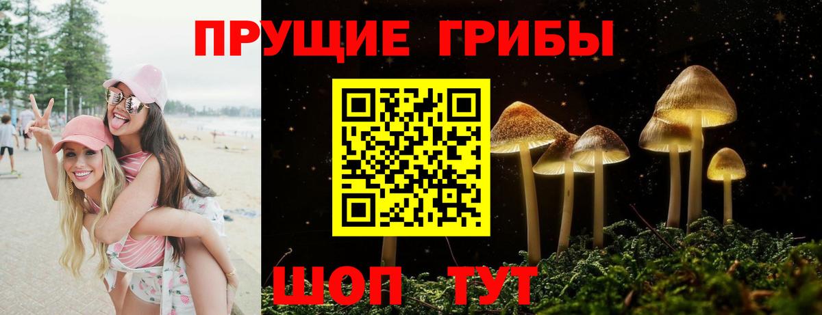 Псилоцибиновые грибы Magic Shrooms Ростов-на-Дону